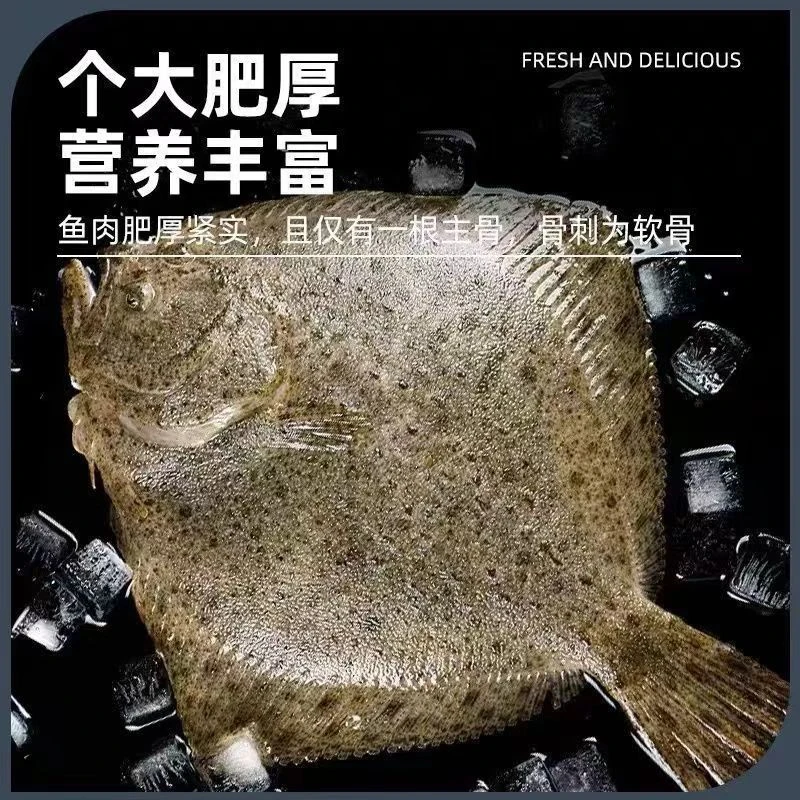 中号多宝鱼 鲜活速冻多宝鱼5-6两/条拍6条送2条到手8条新店批发价