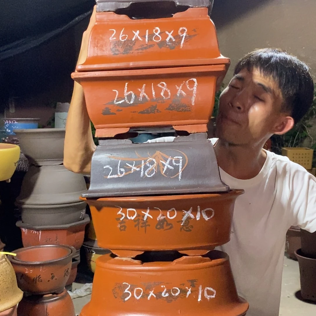 紫砂紫砂紫砂紫砂