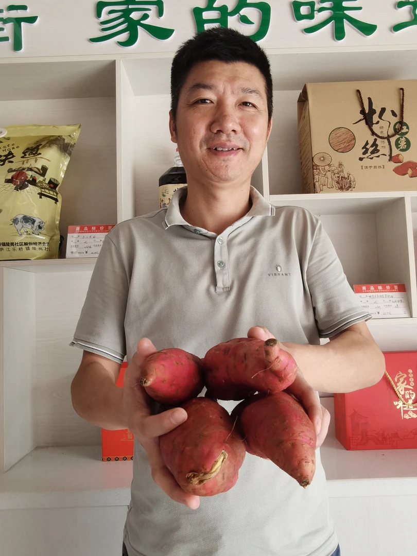 安徽庐江农户自种西瓜红蜜薯（山芋）