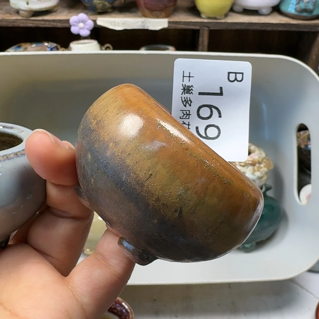 罐陶瓷艺术品设计与制作