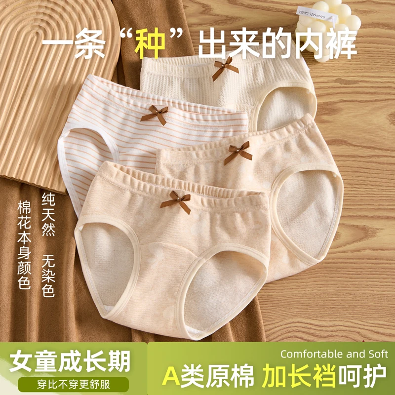 棉致天然彩棉无染色儿童内裤10A抗菌6-12中大童女童三角短裤女款