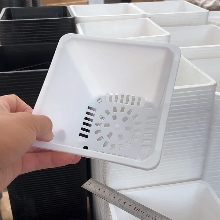 140白方盆6个口径13厘米高10厘米