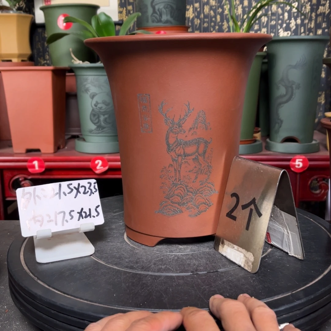 紫砂花盆紫砂花盆