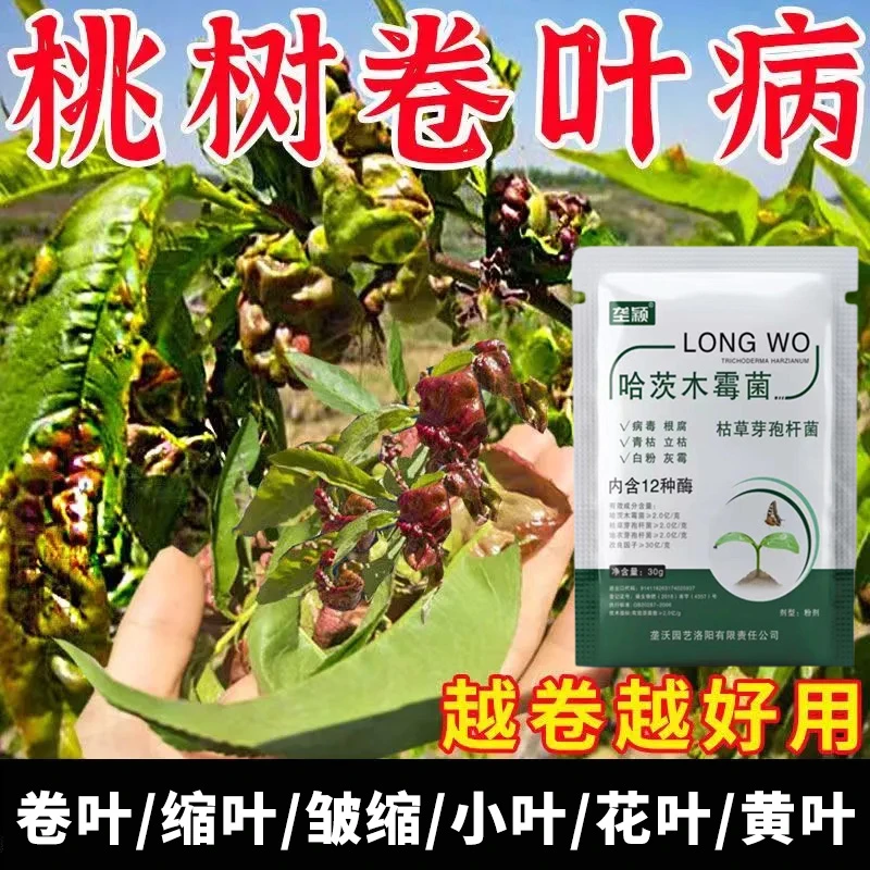 桃树卷叶缩叶黄叶专用肥料桃叶皱缩变红脱落细菌性穿孔微生物菌剂