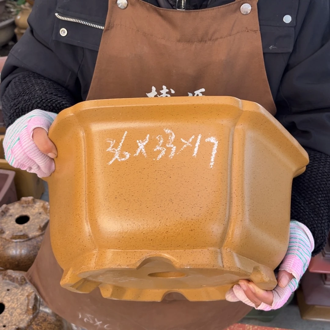 花盆紫砂盆景艺术