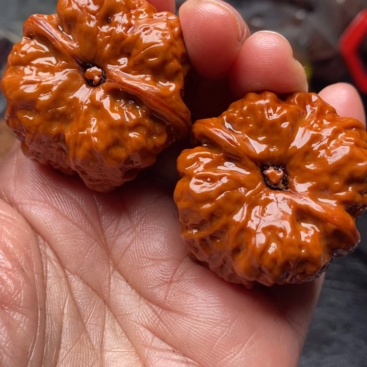 核桃手串/手链冰**扬蛤蟆