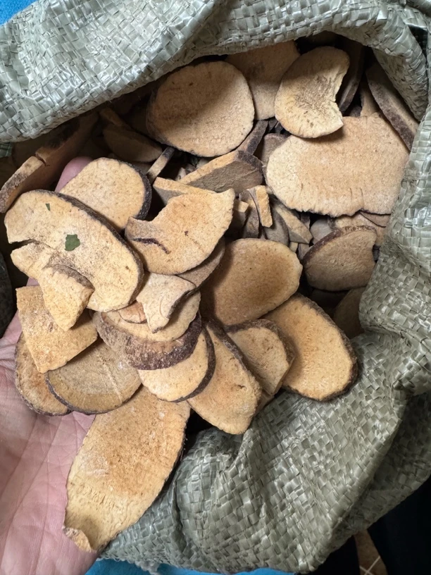 非金属木质手链 精选泽泻干货正品山货