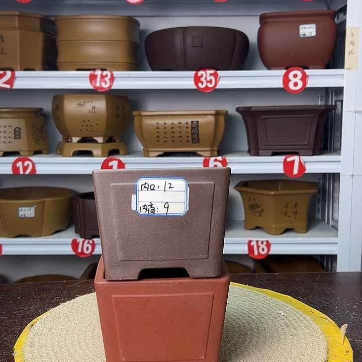 紫砂花盆在干嘛呀