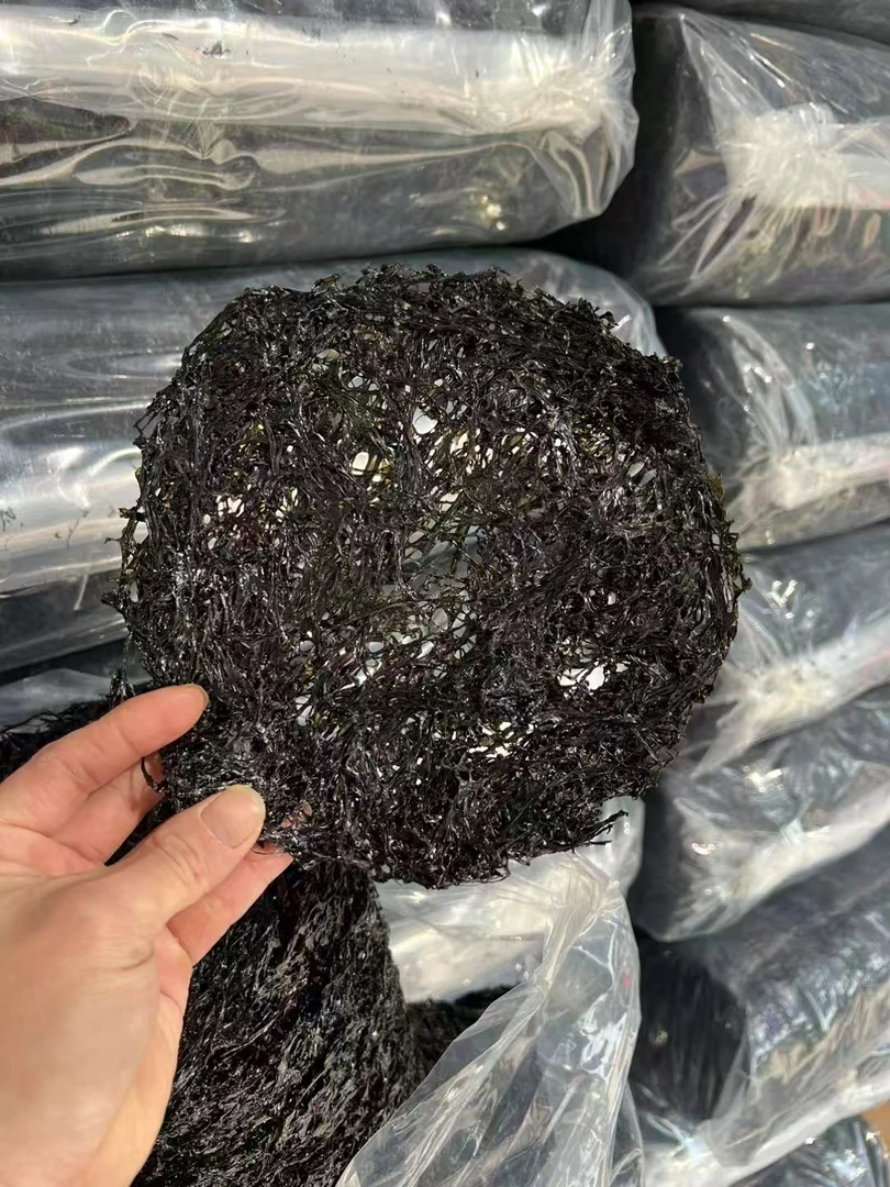 福建东山头水紫菜250g