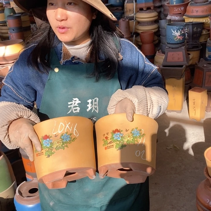 紫砂花盆紫砂花盆盆栽花卉