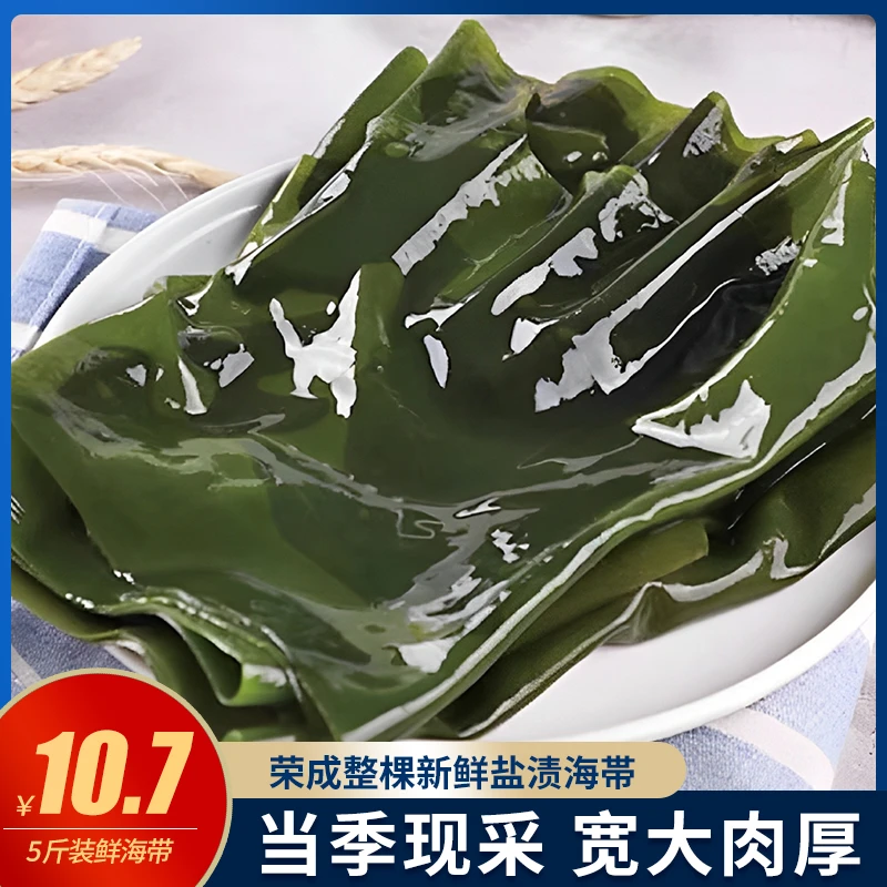 【五斤装头茬盐渍海带】高品质盐渍海带炒菜凉拌火锅海带