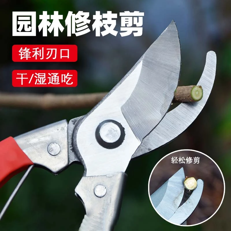 园艺剪修枝剪花剪园林剪花艺剪剪树枝果树剪刀枝剪修剪花卉剪子