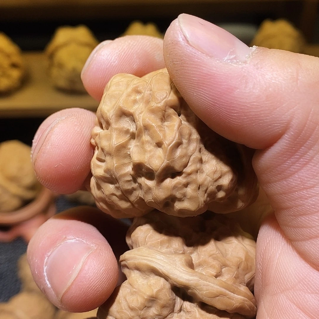 滚****儿蛤蟆头蛤蟆头蛤蟆头蛤蟆头蛤蟆头