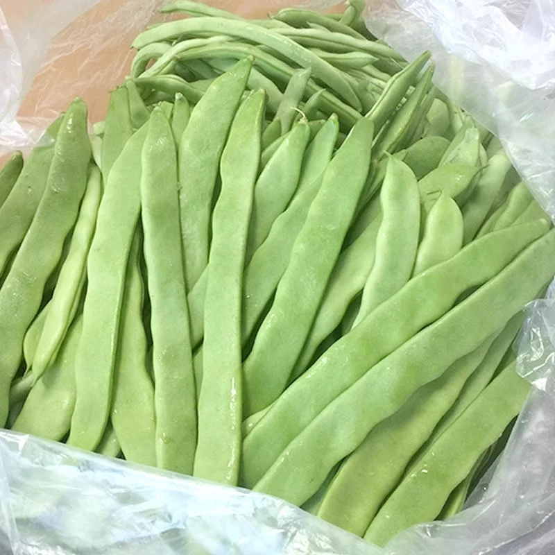 苏北优质露天青扁豆刀豆四季豆芸豆豆角新鲜应季蔬菜新鲜豌豆