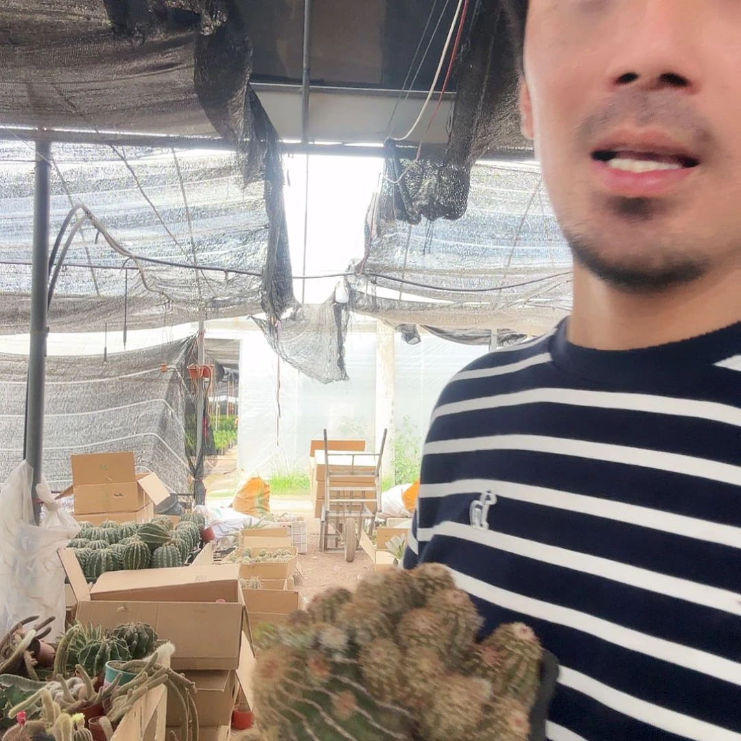 秋****?33333虾333333333