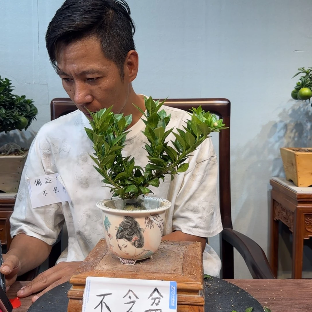 当前无花朵，栽培后可花朵?*一