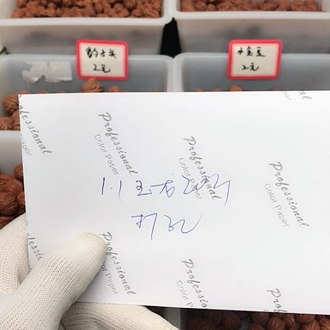 桃核吊坠一**?龙纹桃核的搭配