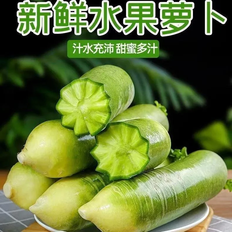 山东潍县水果萝卜3/5斤装 新鲜现挖 甜脆不辣 生吃型水果萝卜