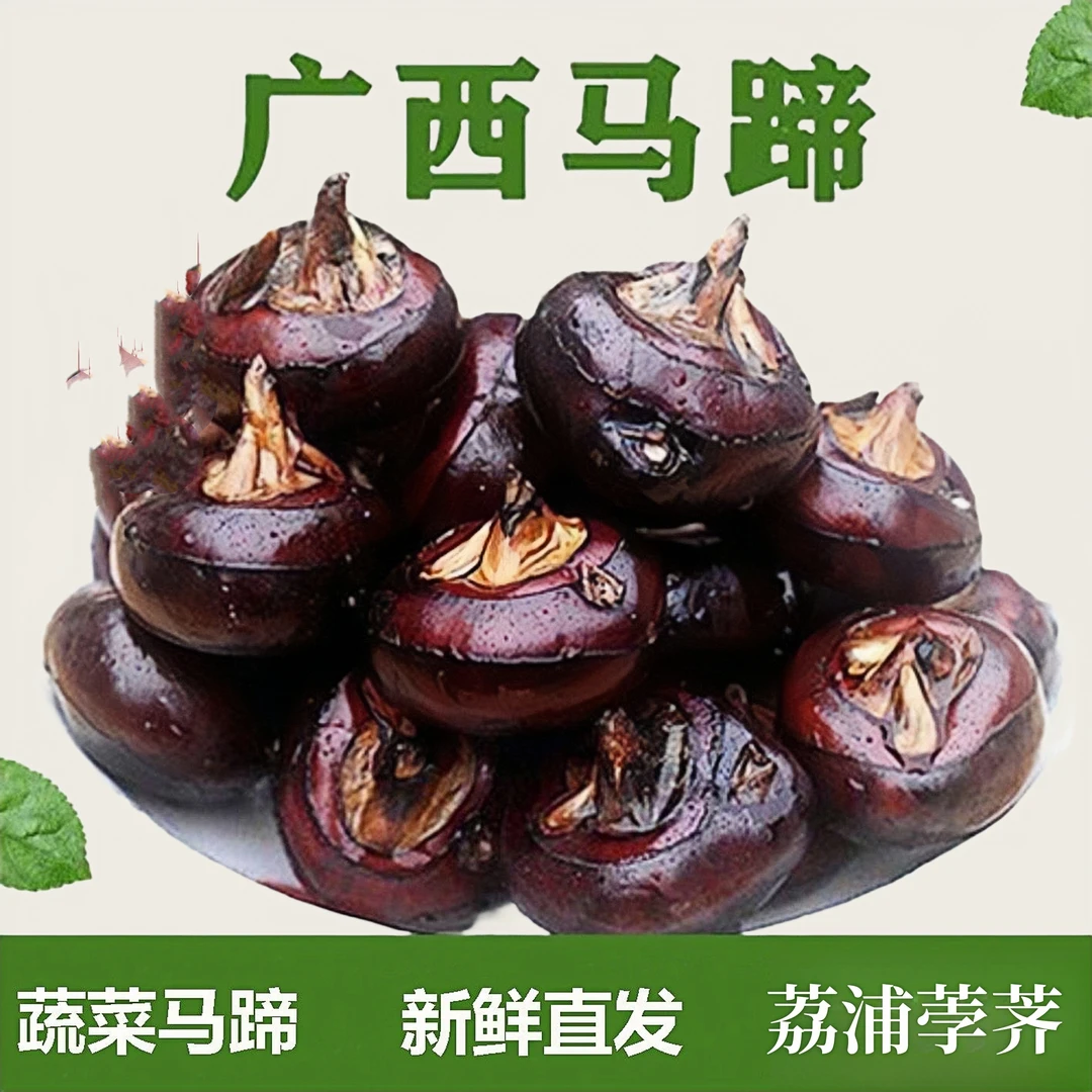 荔浦马蹄广西特产自种荸荠地栗现挖水果脆甜多汁地梨蔬菜应季水果