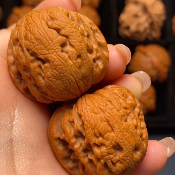 文玩核桃把件红狮子35左右