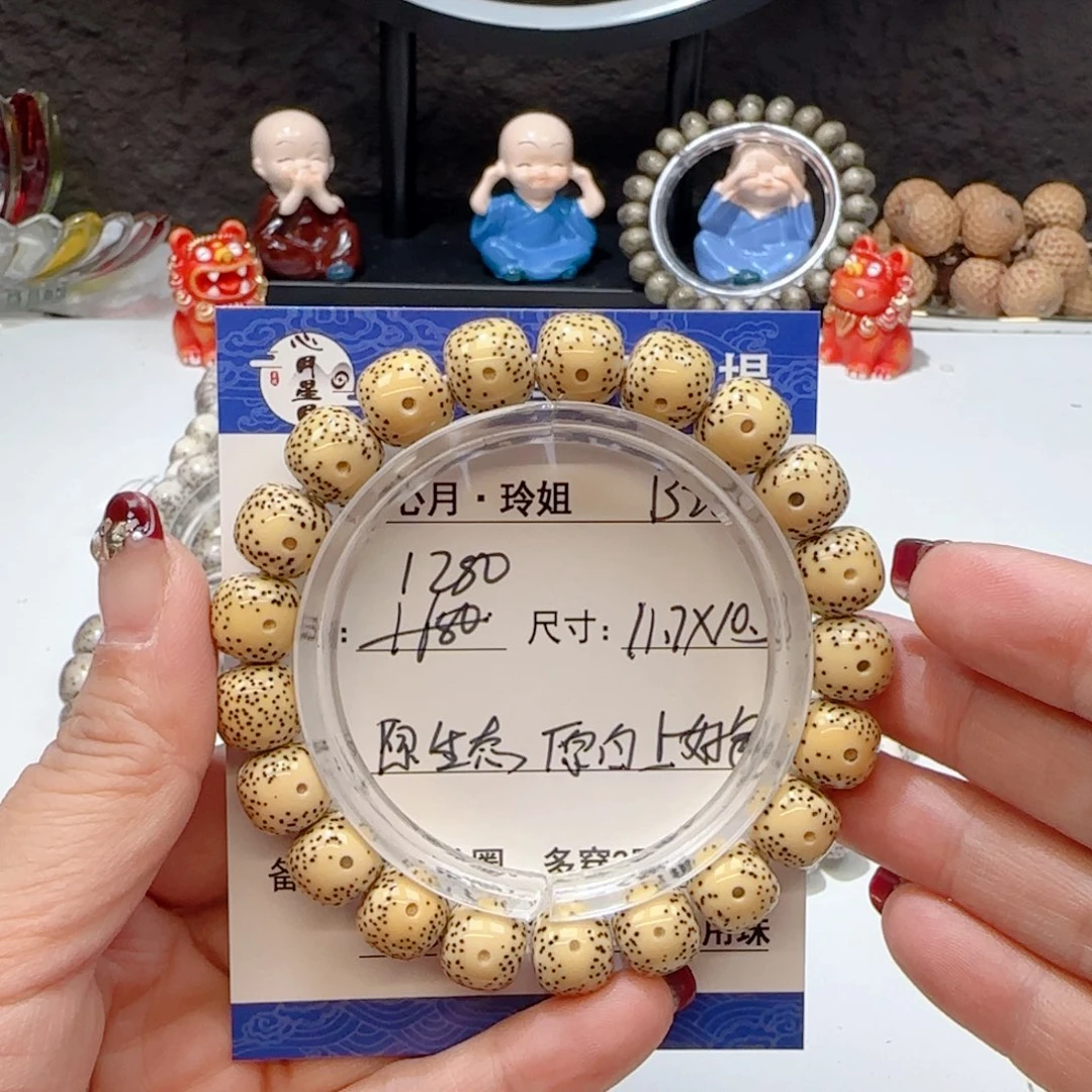 心月星月菩提一号B20