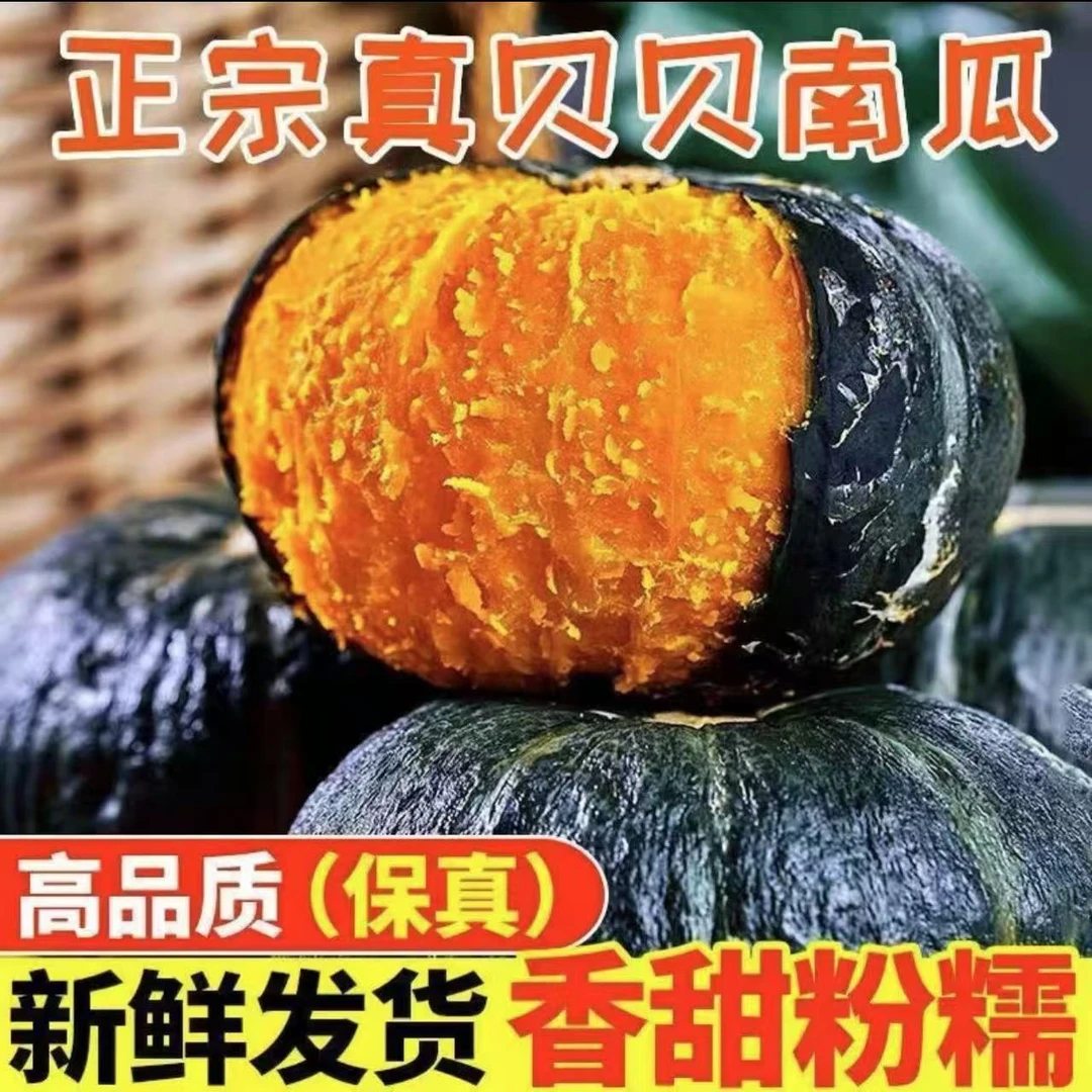 沙地贝贝南瓜【菜乡商贸】粉糯香甜板栗味现摘现发5斤装