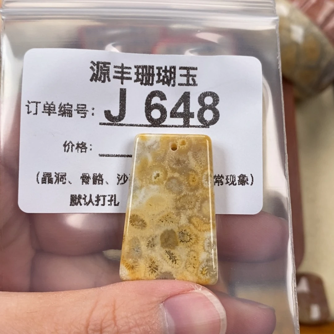 硅化玉颈饰未镶嵌万***野