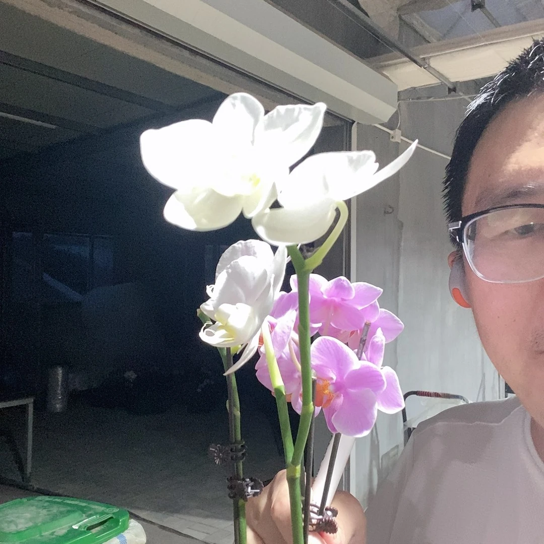 完全开放022阿玛➕圣罗莎