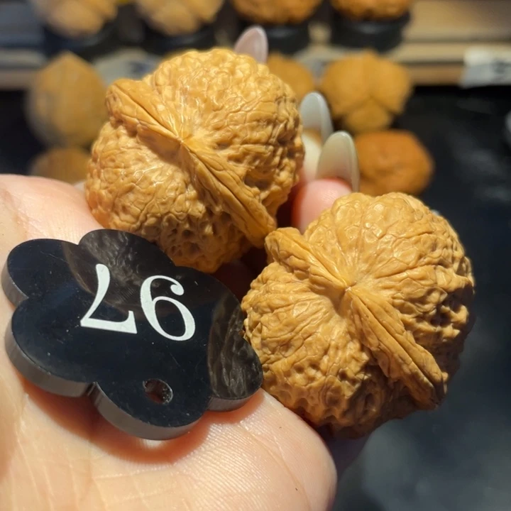 铁狮子41尺寸核桃