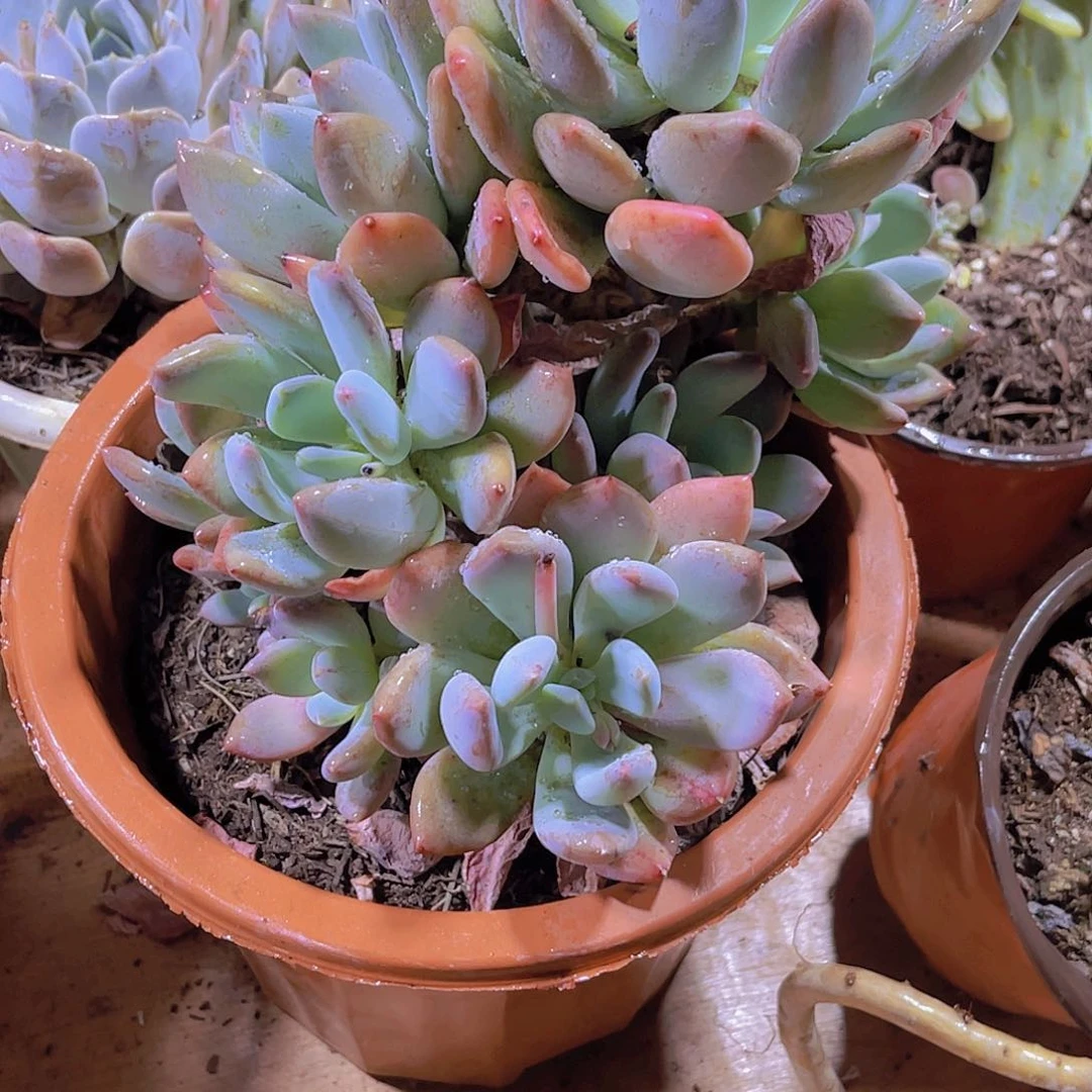 像****在00000000000000000000573