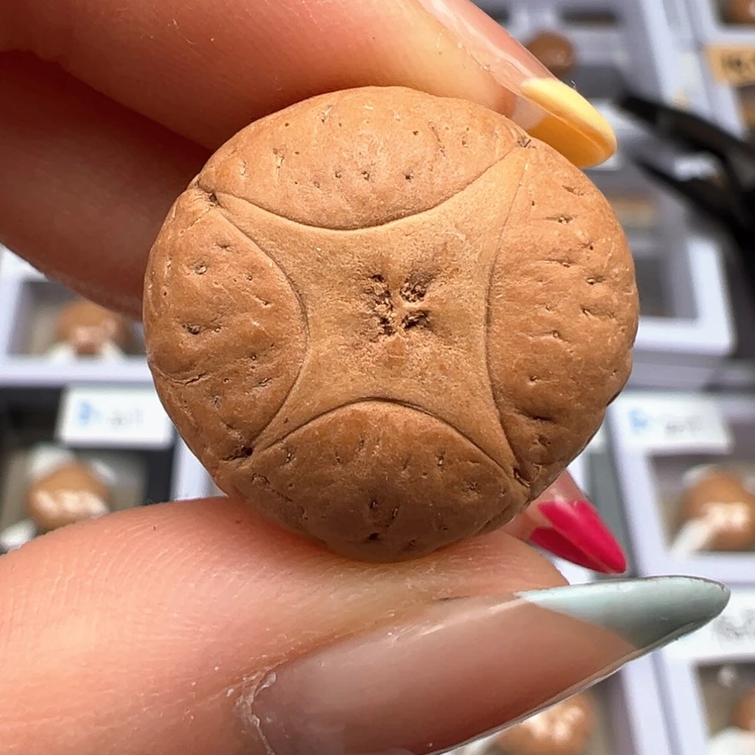 凤眼菩提吊坠麒麟福利单颗21