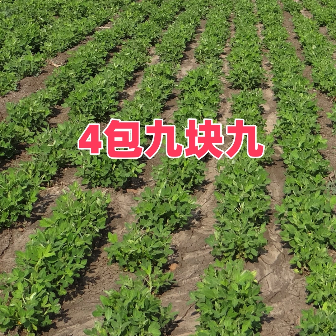 高端花生叶面调环 酸钙大厂家正品喷施叶面肥