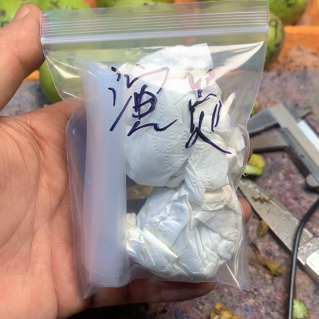 演***员全品无修 白狮子半壁