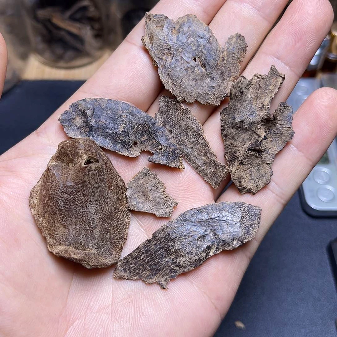 香榧木海南尖峰岭包头碎料5.4克