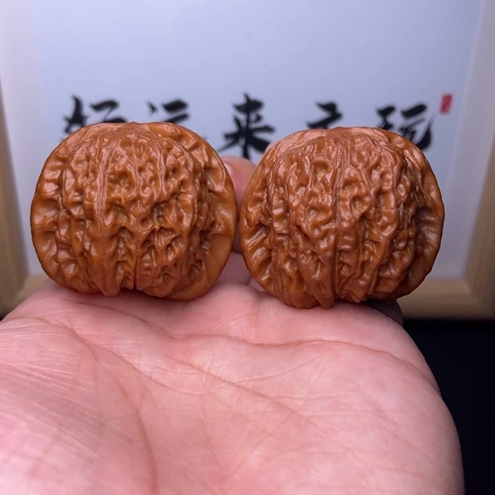 核桃小尺寸血麒麟