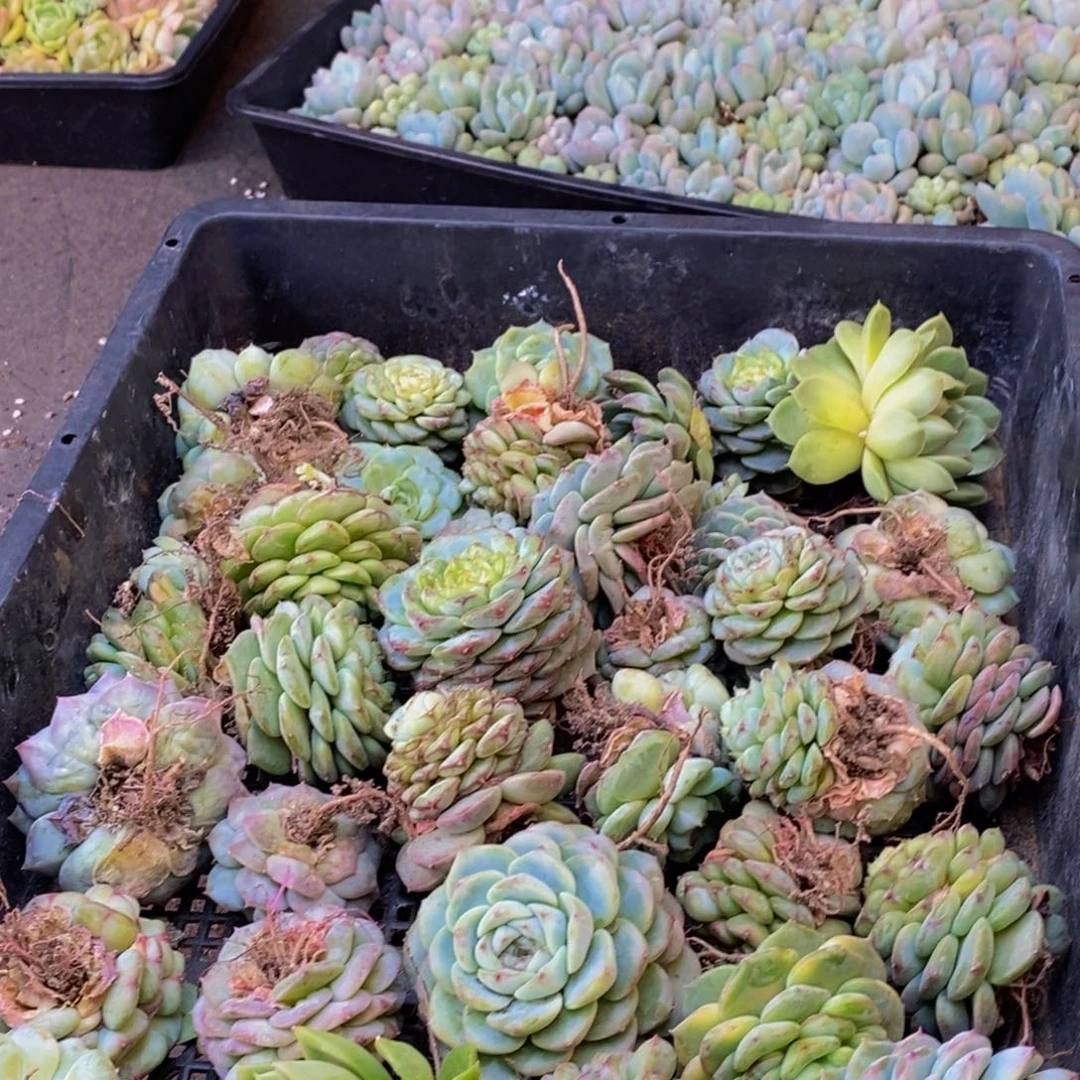 224的人生态度是一种态度