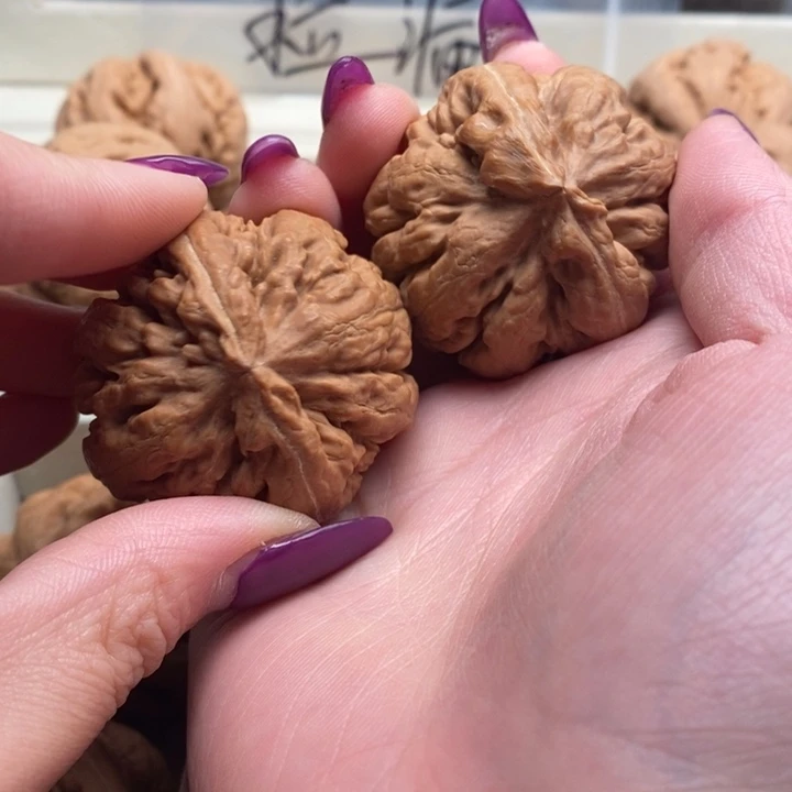 烨***轩吊坠文玩核桃霸王龙