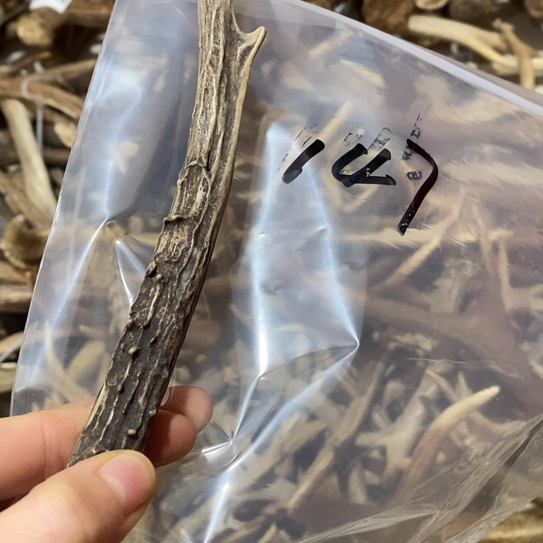 明***️非金属鹿角鹿角鹿角