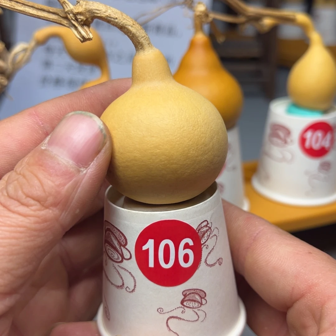 闪电购自助下单编号106