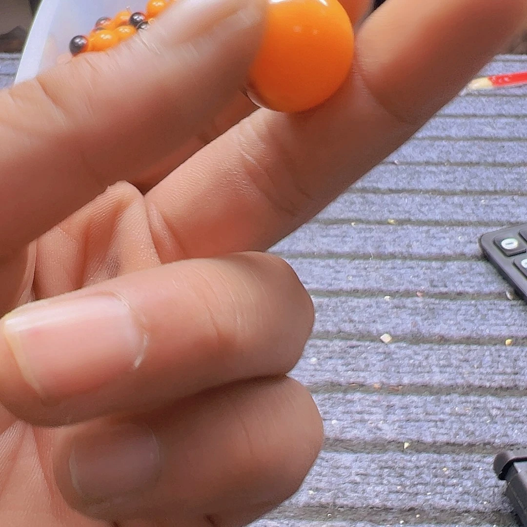 大果紫檀（缅甸花梨）C222