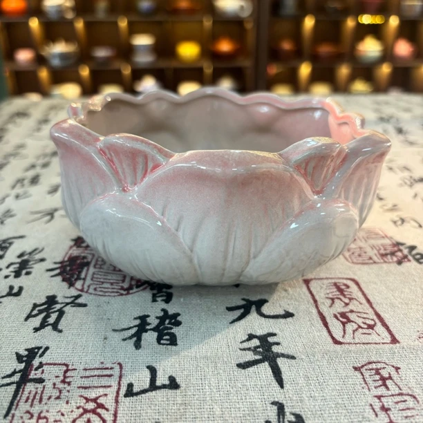 明烛茶器专属链接@@Q661水培