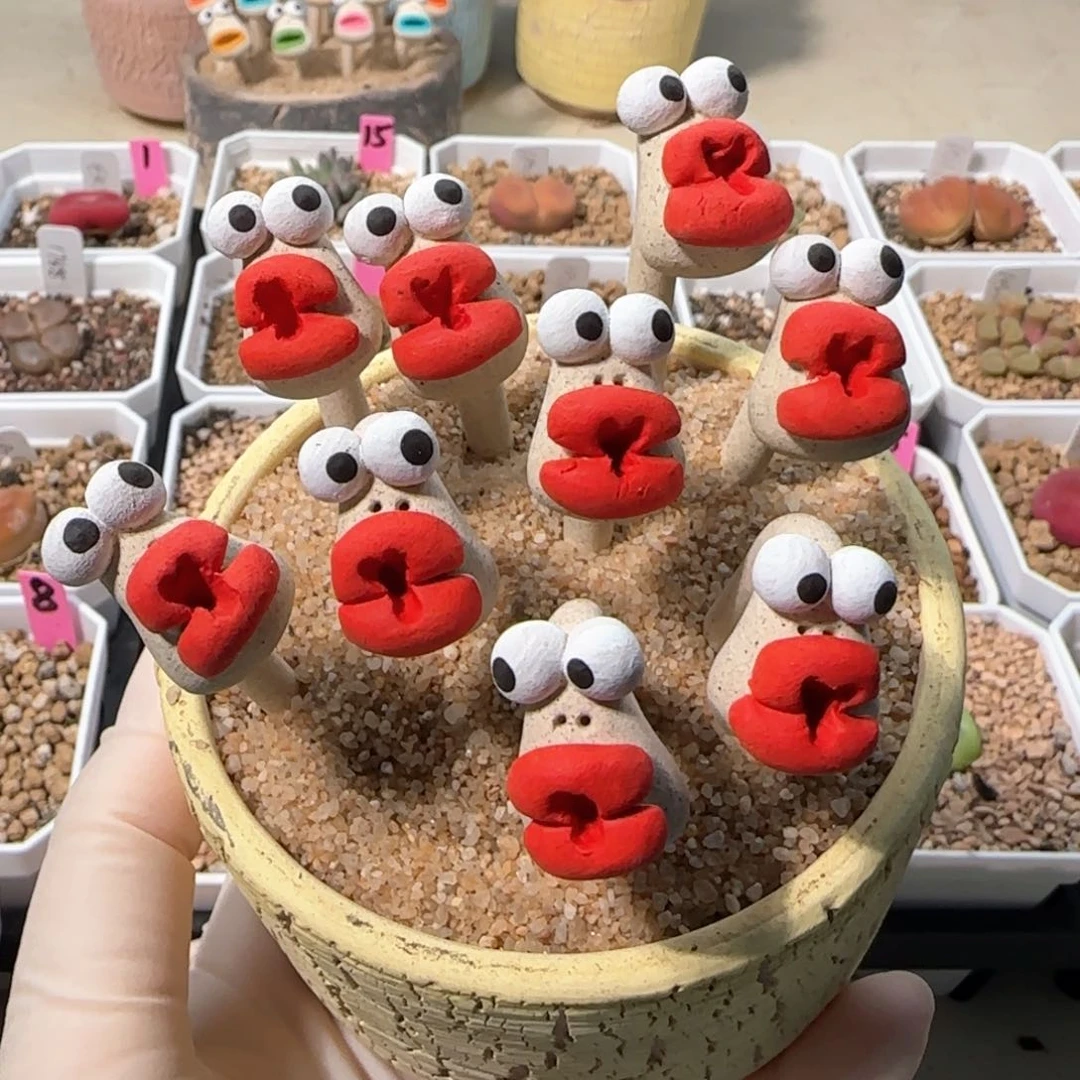 韩国嘟嘟嘴摆件1个