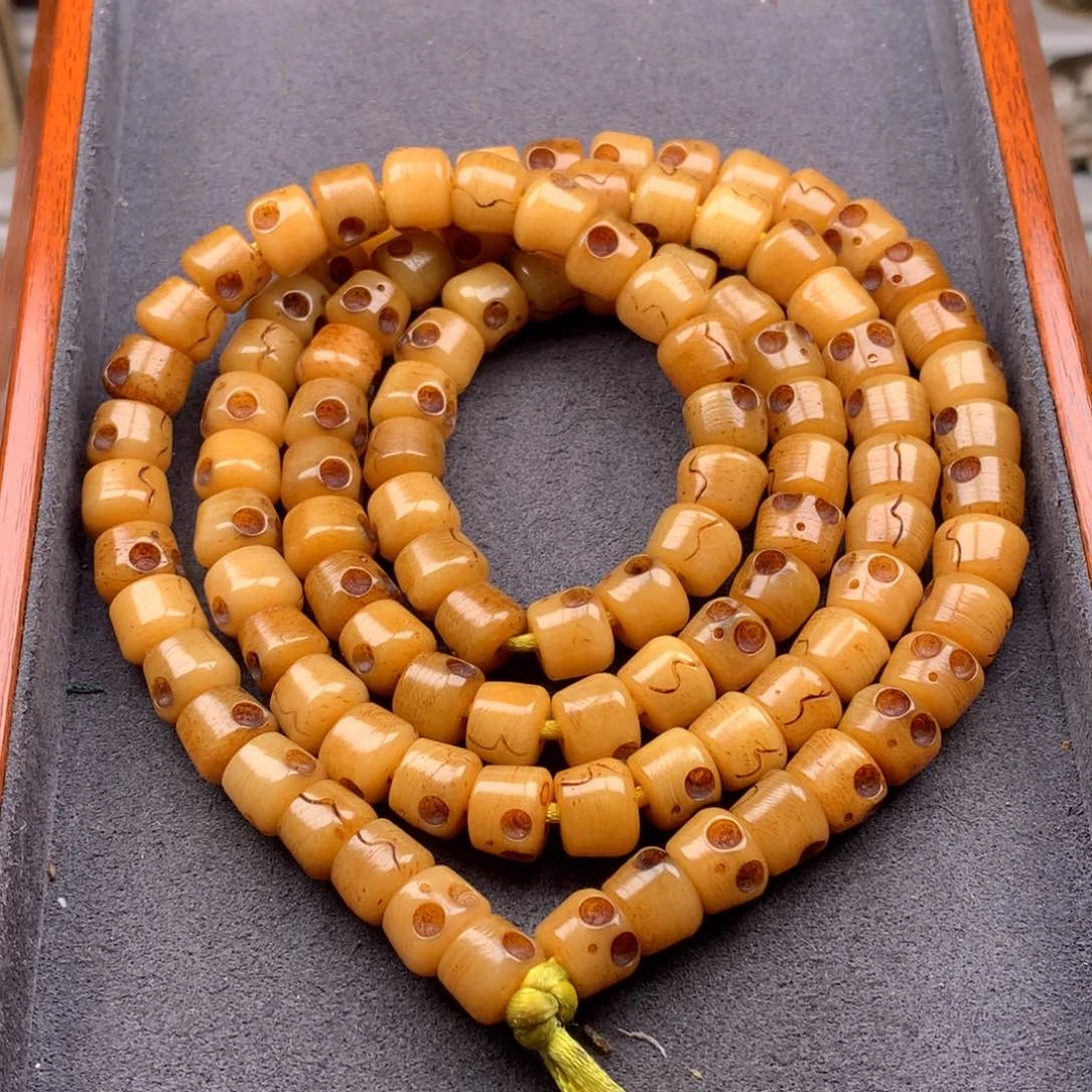 驼骨其他天天都在盘  10