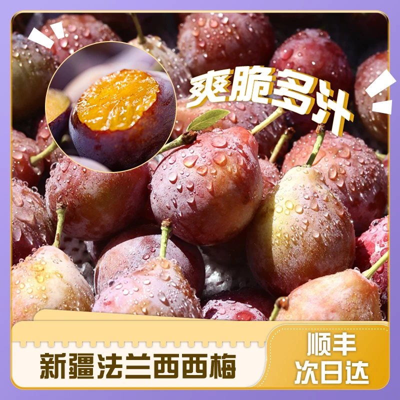 【法兰西西梅】大果西梅新鲜现采新疆现采发货 顺丰次日达新鲜直达西梅西梅西梅新疆维吾尔自治区