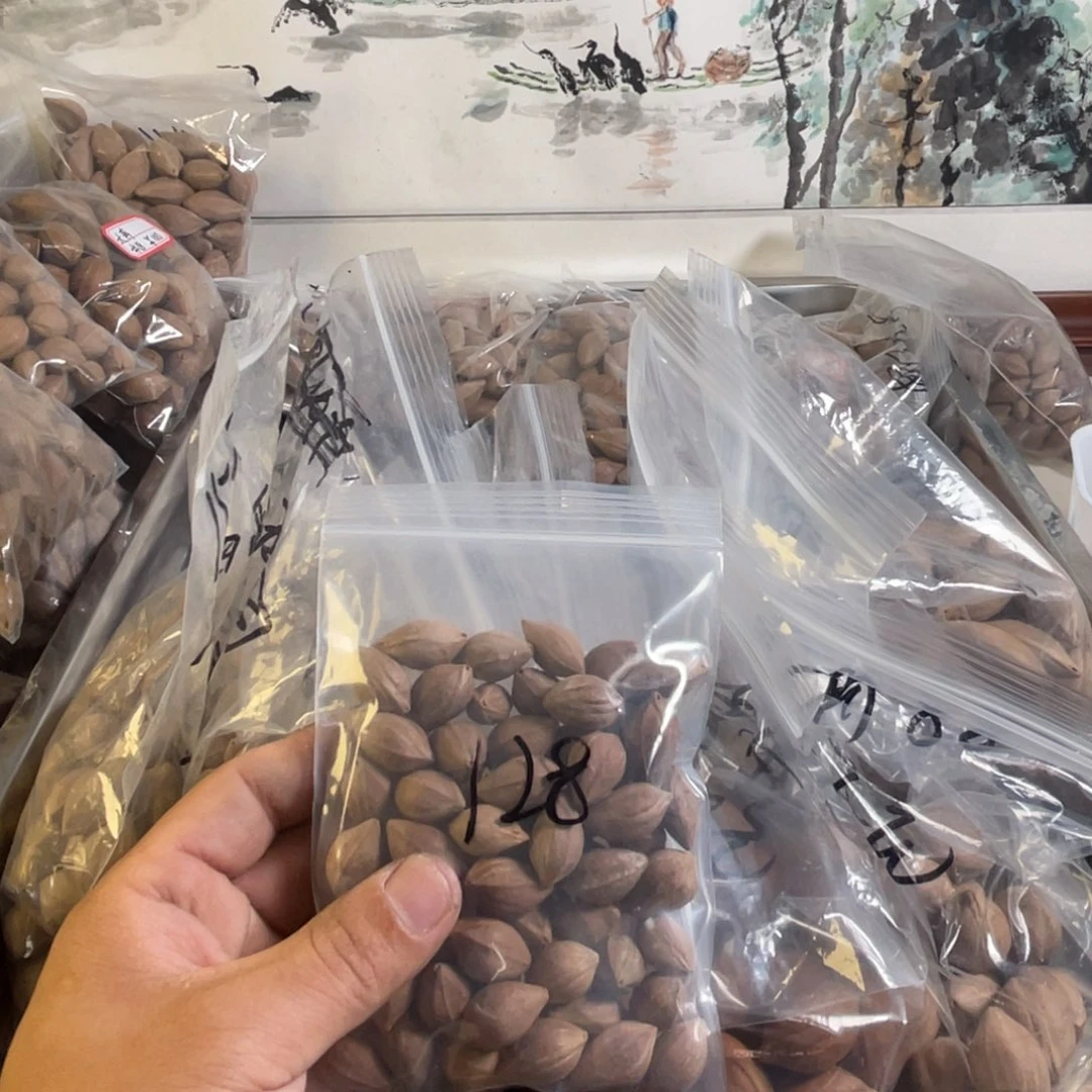 吊坠龙脊菩提池*.