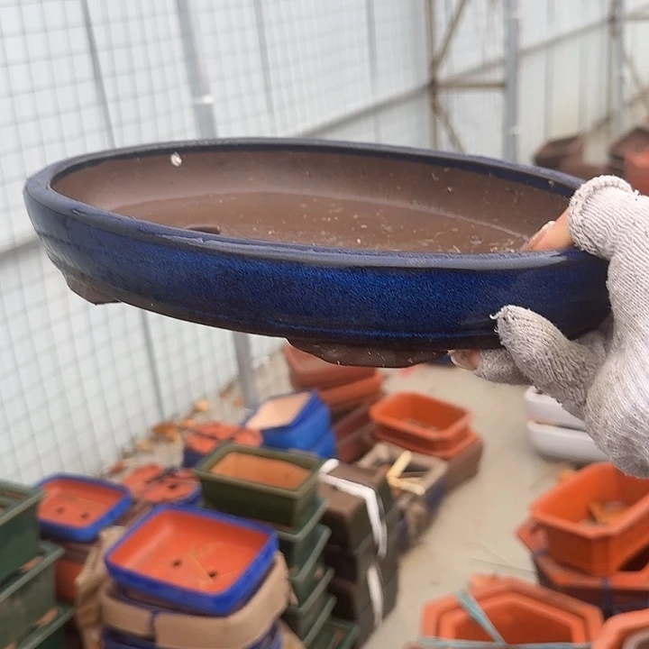 紫砂杯及红石酒品中具有