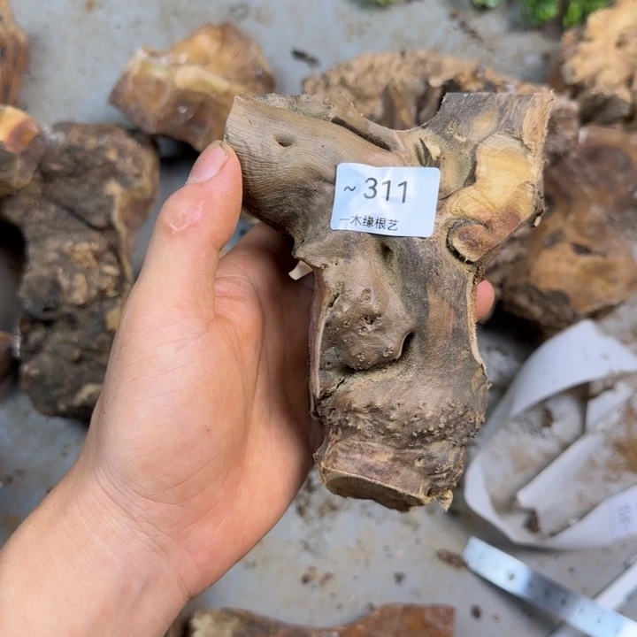 贵***行无花朵0000000000000311