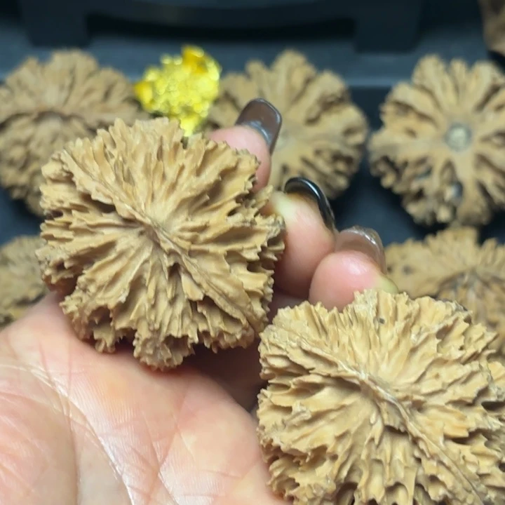 远****文玩核桃吊坠秦岭灯笼31