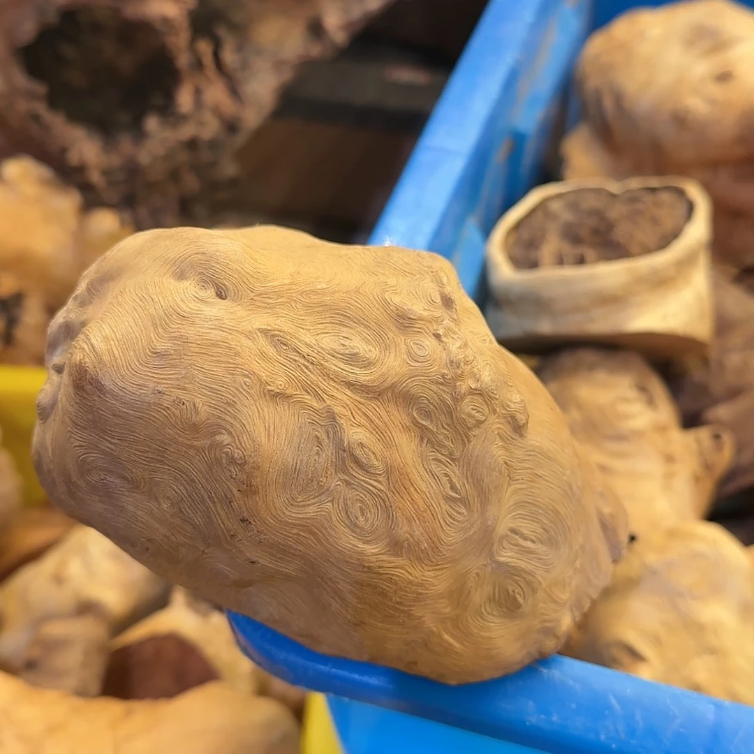 荔枝木光*人荔枝树香炉香炉香炉毛料