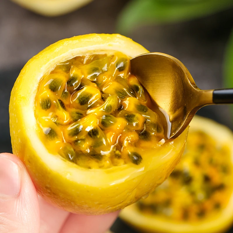 正宗钦蜜九号黄金百香果广西当季水果新鲜采摘产地直发